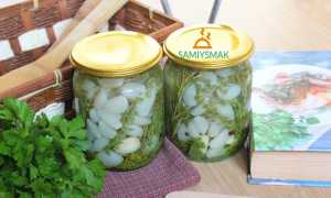 Чеснок маринованный (рецепты быстрого приготовления + 39 фото)