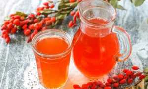 Вкусные блюда из барбариса — когда собирать и как сушить ягоды, что из них можно приготовить