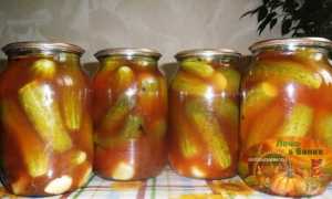 Огурцы с кетчупом чили на зиму: 10 самых вкусных рецептов. Бонусом обалденный рецепт: Маринованные в кетчупе с чесноком огурцы