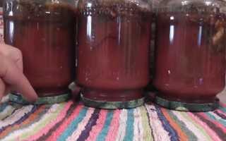 Огурцы в томатном соусе на зиму: самые вкусные рецепты