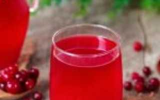 Компот из клюквы: зимние заготовки и напитки на каждый день